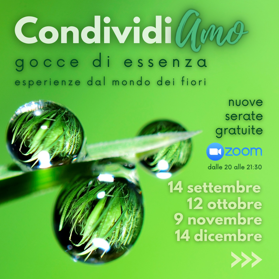 01 2021 09 07 CondividiAMO gocce di essenza copertina