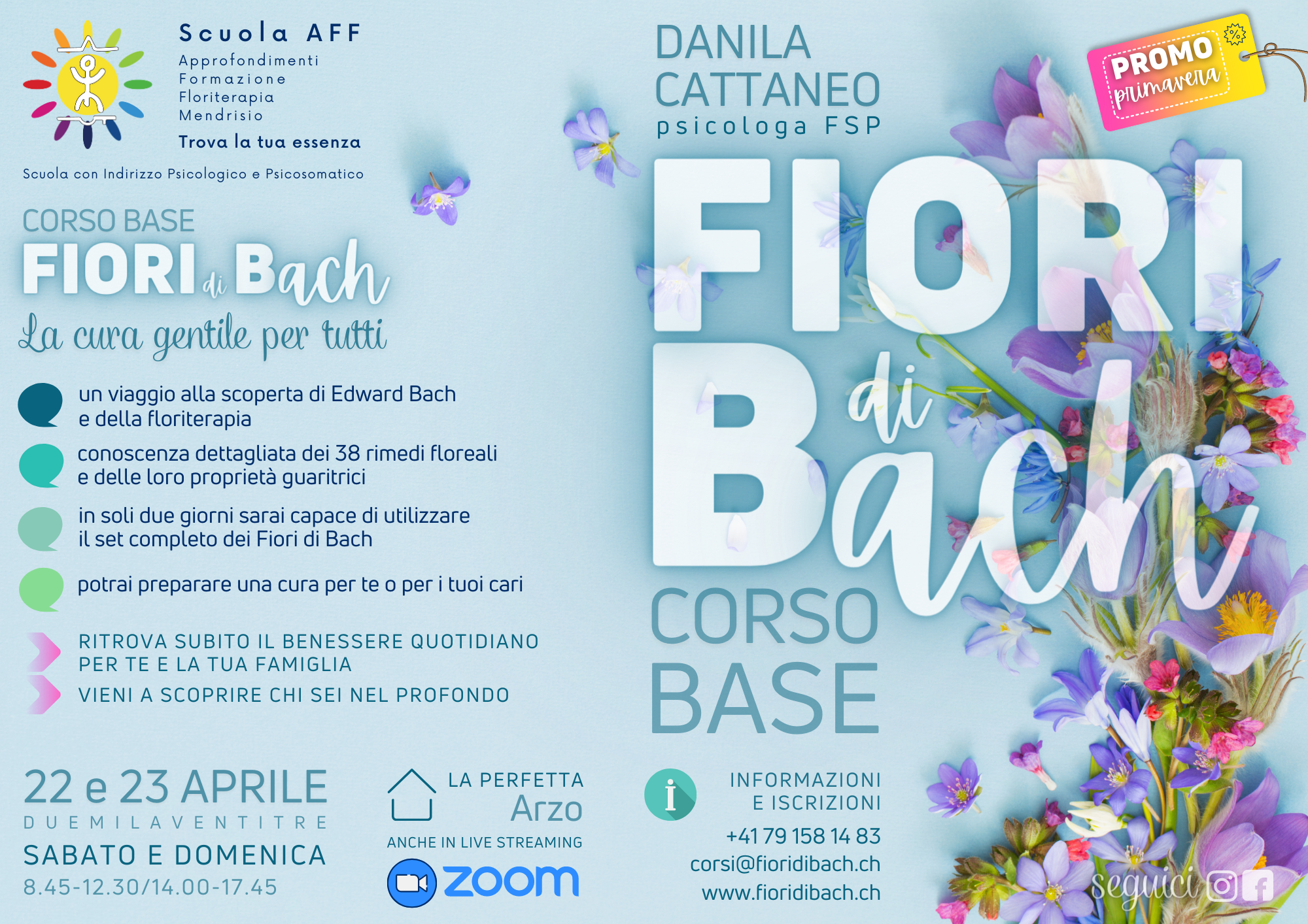 01 2023 04 22 23 Base Cattaneo Website