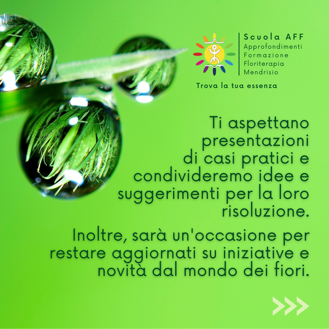 03 01 2021 09 07 CondividiAMO gocce di essenza descrizione2