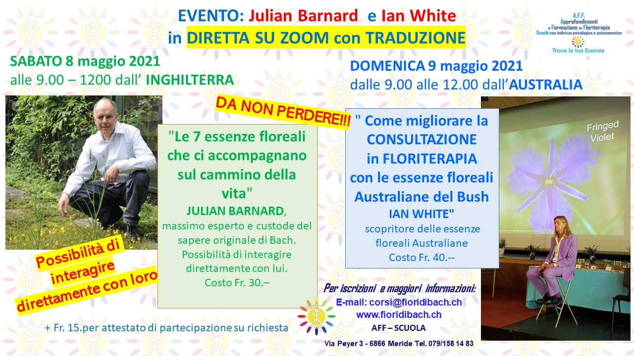 Ian Julian3 ore