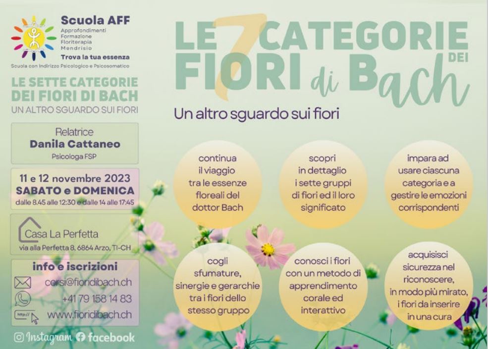 Volantino 7 categorie nov 23
